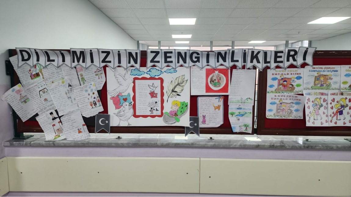 Dilimizin Zenginlikleri Projes Kasım Ayı Çalışmalarımız